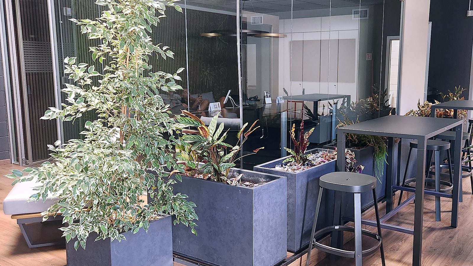 Zona buffet con tavoli alti e piante negli spazi Media Solution